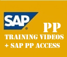 sap pp training